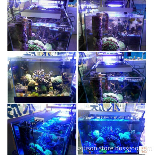 2015 new factory price thunder storm led aquarium light 288w dimmer timer white : blue=1:1 lighting with wireless controller